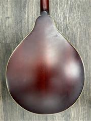 MORGAN MONROE BEAN BLOSSOM MANDOLIN W/CASE (B03092657) | eBay